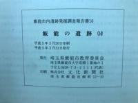 飯能市內遺跡発掘調査報告書10　飯能の遺跡 (14)