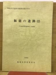 飯能市内遺跡発掘調査報告書9　飯能の遺跡 (12)