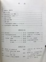 飯能市内遺跡発掘調査報告書9　飯能の遺跡 (12)