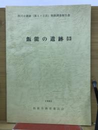 西川小遺跡(第1・2次) 発掘調査報告書　飯能の遺跡(13)