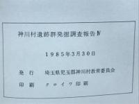 神川村遺跡群発掘調査報告Ⅳ