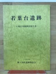 若葉台遺跡S地点発掘調査報告書