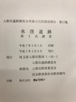 水窪遺跡　第2次調査
