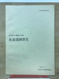 東部遺跡群IX