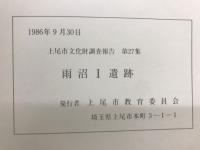 雨沼I遺跡