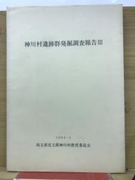 神川村遺跡群発掘調査報告Ⅲ