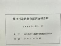 神川村遺跡群発掘調査報告Ⅲ