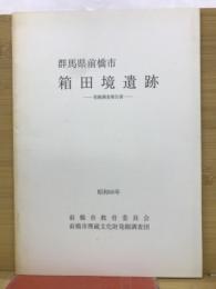 群馬県前橋市箱田境遺跡発掘調査報告書