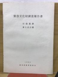 緊急文化財調査報告書 : 川曲遺跡・東公田遺跡