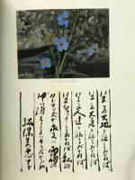 カトマンズの日々 : 祐保美恵子写真集