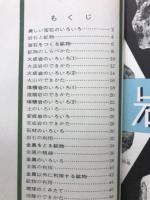 新版　岩石鉱物図鑑　保育社の学習図鑑7
