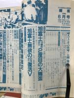 相撲 １９９０年６月号　夏場所総決算号
