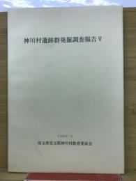 神川村遺跡群発掘調査報告V