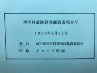 神川村遺跡群発掘調査報告V