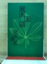 樹木余話
