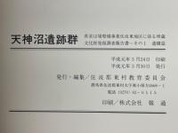 天神沼遺跡群　県営ほ場整備事業佐波東地区に係る埋蔵文化財発掘調査報告書　その1　遺構篇