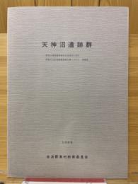 天神沼遺跡群　県営ほ場整備事業佐波東地区に係る埋蔵文化財発掘調査報告書　その1　遺構篇