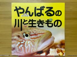 やんばるの川と生きもの