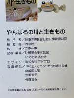 やんばるの川と生きもの