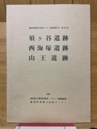 須ヶ谷遺跡　西海塚遺跡　山王遺跡