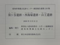 須ヶ谷遺跡　西海塚遺跡　山王遺跡