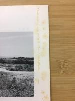 上越新幹線地域埋蔵文化財発掘調査概報 II
