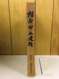 相原田ノ上遺跡発掘調査報告書
