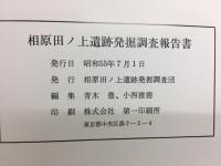 相原田ノ上遺跡発掘調査報告書