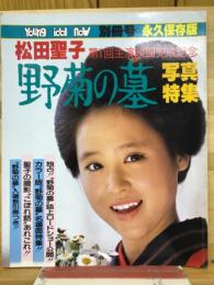 松田聖子第1回主演映画完成記念「野菊の墓」写真特集（ヤング・アイドル・ナウ別冊号）
