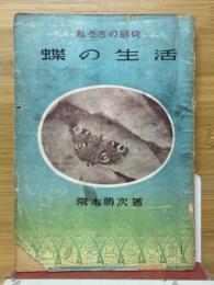 私たちの研究　蝶の生活