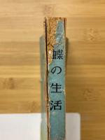 私たちの研究　蝶の生活