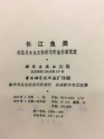 长江鱼类（長江の魚）