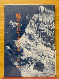 魅せられてネパール　