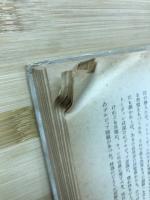 愛の人ベートーヴェン