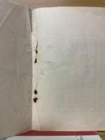妊娠及避妊の新研究
