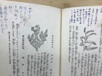 薬用植物の診療法