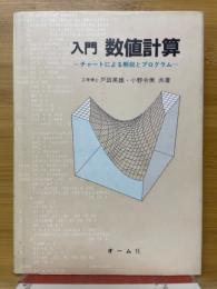 入門数値計算　チャートによる解説とプログラム