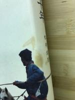 内蒙古十年 : 草原を駆ける日々