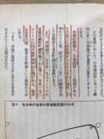 大和朝廷は古代の水軍がつくった!