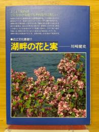 湖畔の花と実