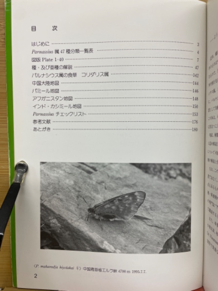 入門編パルナシウス図鑑(反町康司) / 古本、中古本、古書籍の通販は