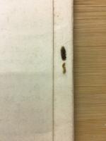 喜界島城久・滝川部落　喜界島の生産構造