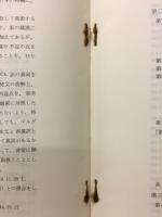 初会金剛頂経梵本ローマ字本