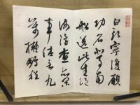 萬域遊艸