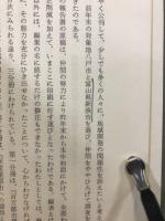 地域開発の構想と現実