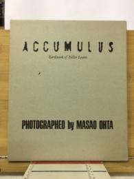 ACCUMULUS : Earthwork of Fallen Leaves