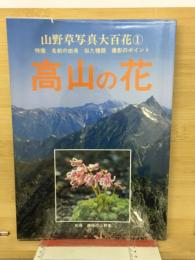 高山の花