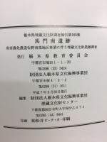馬門南遺跡