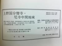 上野国分僧寺・ 尼寺中間地域