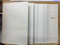 中原上宿　平塚海岸・伊勢原線新設工事に伴う発掘調査報告書